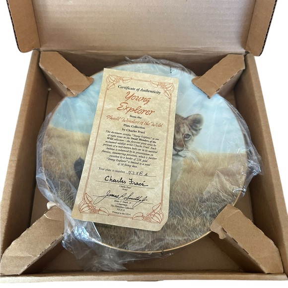 The Hamilton Collection’s “Young Explorer” Collectors Plate - Picture 5 of 5